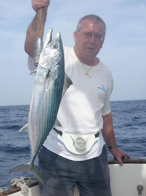 atlantic bonito Cavalier & Blue Marlin Sport Fishing Gran Canaria
