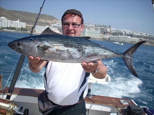 atlantic bonito Cavalier & Blue Marlin Sport Fishing Gran Canaria
