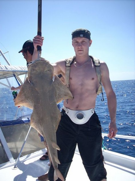angelshark Cavalier & Blue Marlin Sport Fishing Gran Canaria