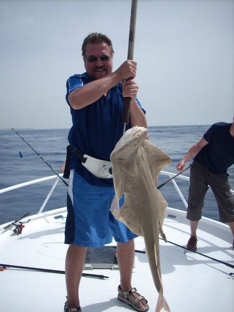 angelshark Cavalier & Blue Marlin Sport Fishing Gran Canaria