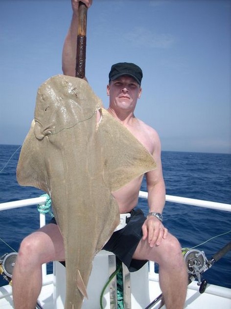 angelshark Cavalier & Blue Marlin Sport Fishing Gran Canaria
