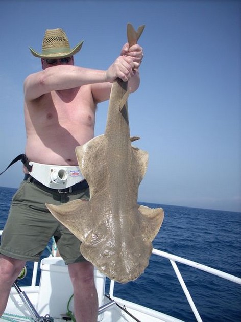 angelshark Cavalier & Blue Marlin Sport Fishing Gran Canaria