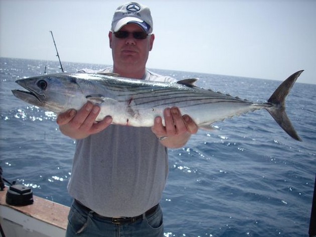 atlantic bonito Cavalier & Blue Marlin Sport Fishing Gran Canaria