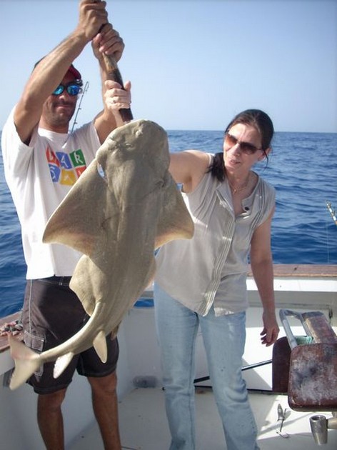 angelshark Cavalier & Blue Marlin Sport Fishing Gran Canaria