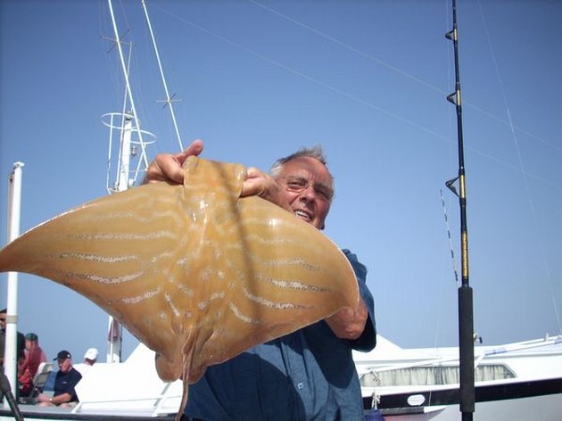 duckbillray Cavalier & Blue Marlin Sport Fishing Gran Canaria
