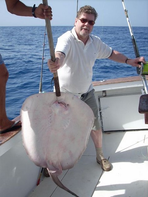 common stingray Cavalier & Blue Marlin Sport Fishing Gran Canaria