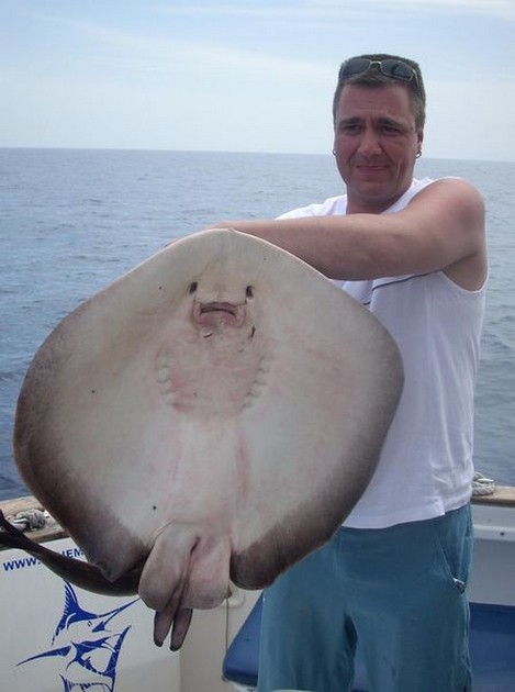 roughtail stingray Cavalier & Blue Marlin Sport Fishing Gran Canaria
