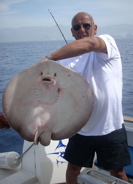 round stingray Cavalier & Blue Marlin Sport Fishing Gran Canaria