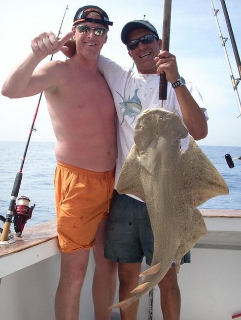 angelshark Cavalier & Blue Marlin Sport Fishing Gran Canaria