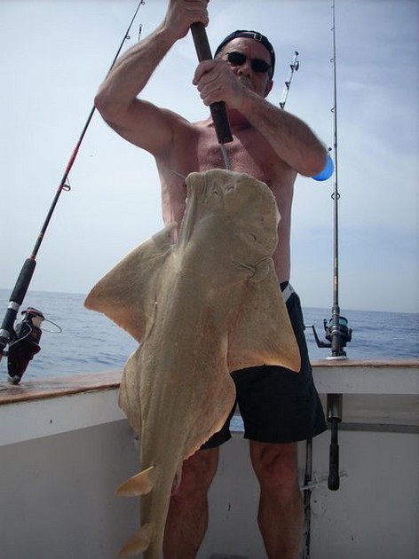angelshark Cavalier & Blue Marlin Sport Fishing Gran Canaria