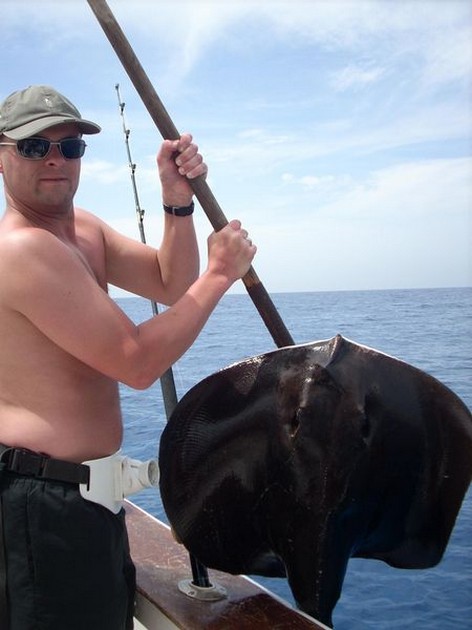 black stingray Cavalier & Blue Marlin Sport Fishing Gran Canaria