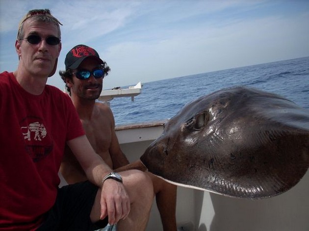 common stingray Cavalier & Blue Marlin Sport Fishing Gran Canaria