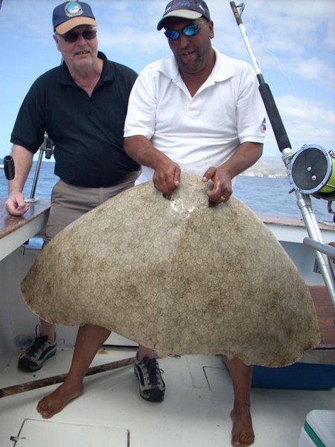 19/03 butterflyray Cavalier & Blue Marlin Sport Fishing Gran Canaria