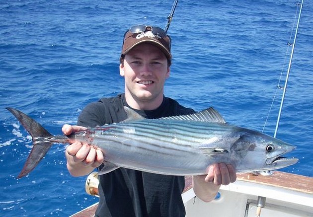 atlantic bonito Cavalier & Blue Marlin Sport Fishing Gran Canaria