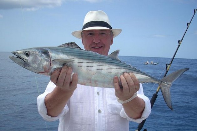 atlantic bonito Cavalier & Blue Marlin Sport Fishing Gran Canaria