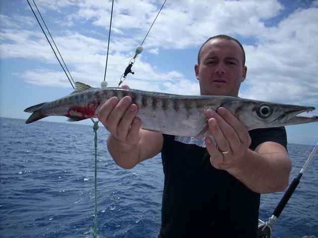 barracuda Cavalier & Blue Marlin Sport Fishing Gran Canaria