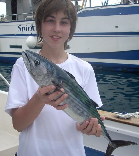 22/03 atlantic bonito Cavalier & Blue Marlin Sport Fishing Gran Canaria