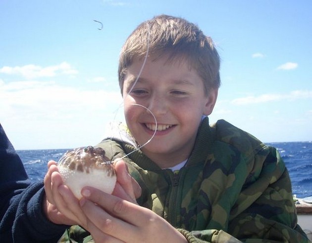 24/03 pufferfish Cavalier & Blue Marlin Sport Fishing Gran Canaria