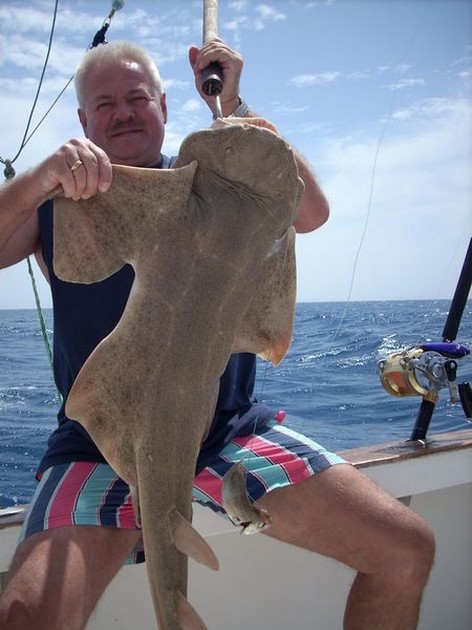 angelshark Cavalier & Blue Marlin Sport Fishing Gran Canaria