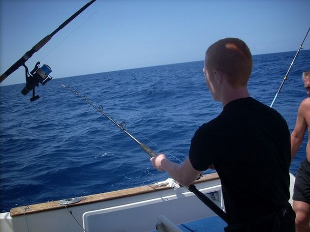 Puerto Rico klockan 19.00 NY BÅTREKORD Idag där Cavalier & Blue Marlin Sport Fishing Gran Canaria