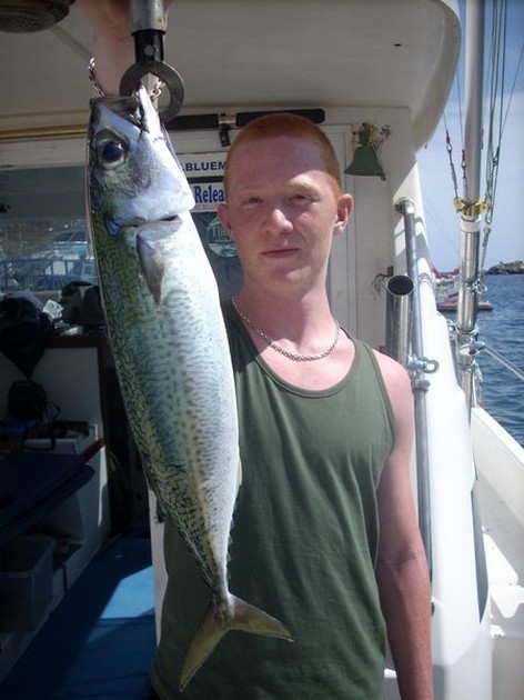 29/03 mackerel Cavalier & Blue Marlin Sport Fishing Gran Canaria