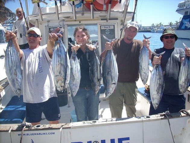 31/03 skipjack tuna Cavalier & Blue Marlin Sport Fishing Gran Canaria