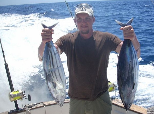 skipjack tuna Cavalier & Blue Marlin Sport Fishing Gran Canaria
