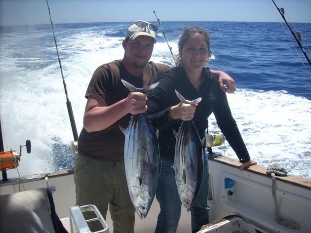 skipjack tuna Cavalier & Blue Marlin Sport Fishing Gran Canaria