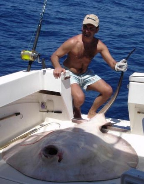 round stingray Cavalier & Blue Marlin Sport Fishing Gran Canaria