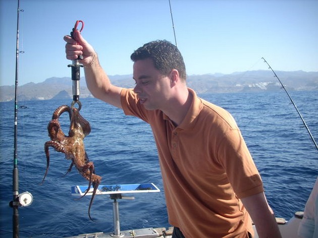  - Cavalier & Blue Marlin Sport Fishing Gran Canaria