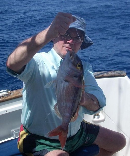 red snapper Cavalier & Blue Marlin Sport Fishing Gran Canaria