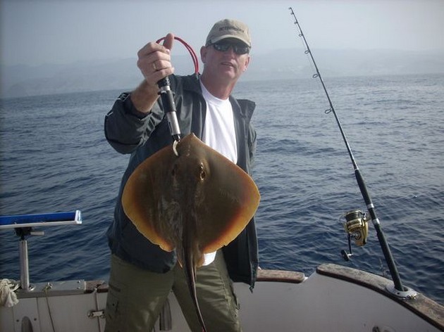 common stingray Cavalier & Blue Marlin Sport Fishing Gran Canaria