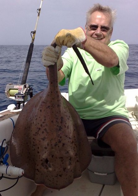 03/04 roughtail stingray Cavalier & Blue Marlin Sport Fishing Gran Canaria