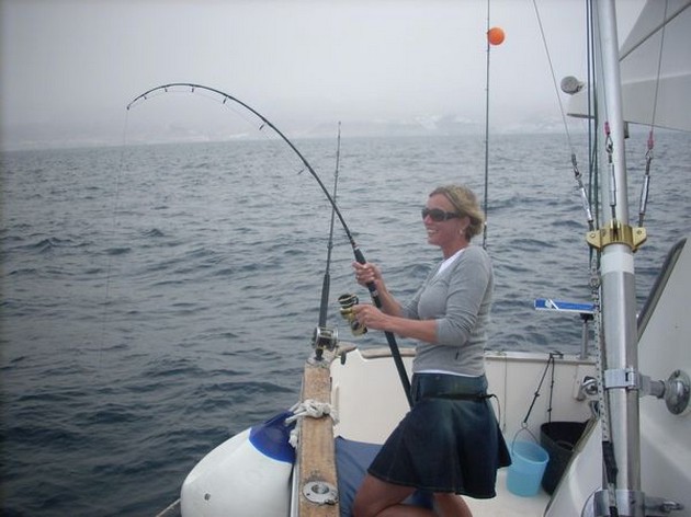 04/04 she did it Cavalier & Blue Marlin Sport Fishing Gran Canaria