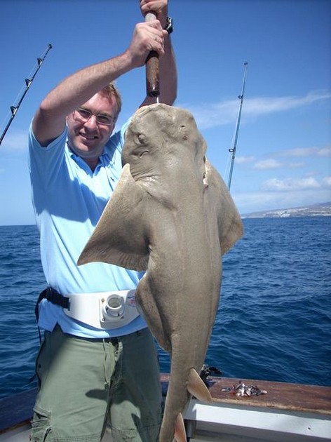 angelshark Cavalier & Blue Marlin Sport Fishing Gran Canaria