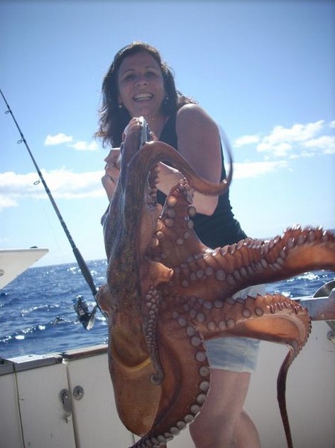 octopus Cavalier & Blue Marlin Sport Fishing Gran Canaria