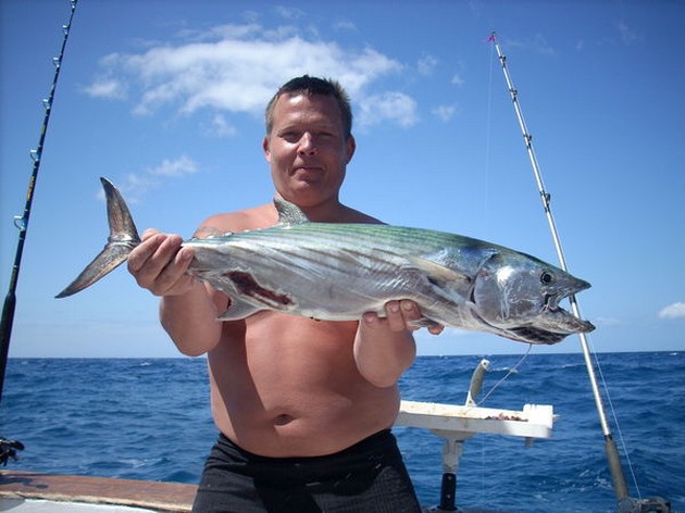 atlantic bonito Cavalier & Blue Marlin Sport Fishing Gran Canaria