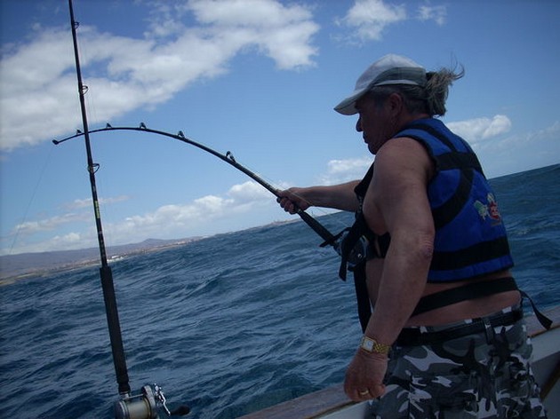 Puerto Rico 23.00 SKIPJACK TUNAS PÅ - Cavalier & Blue Marlin Sport Fishing Gran Canaria