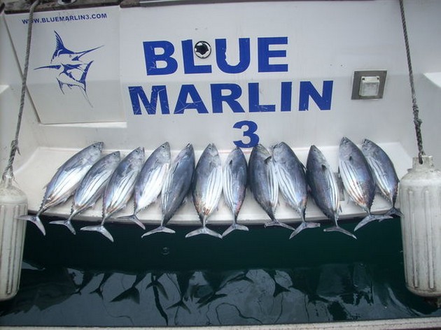 Puerto Rico 17.30 uur<br>DEEL CHARTER<br><br>Blue Marlin 3 was - Cavalier & Blue Marlin Sport Fishing Gran Canaria