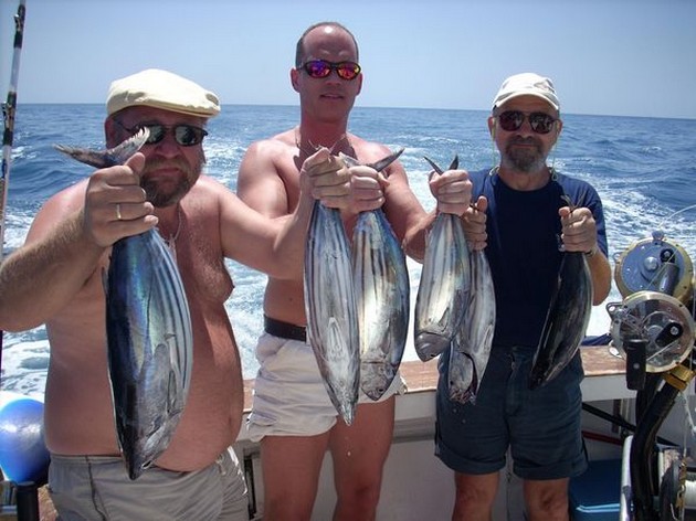 skipjack tuna Cavalier & Blue Marlin Sport Fishing Gran Canaria