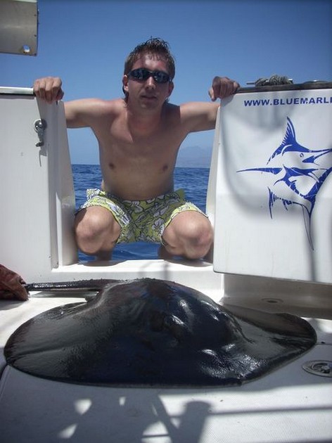 roughtail stingray Cavalier & Blue Marlin Sport Fishing Gran Canaria