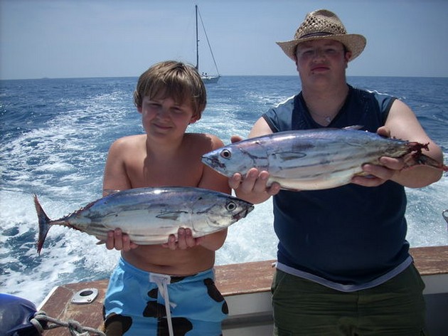 skipjack tuna Cavalier & Blue Marlin Sport Fishing Gran Canaria