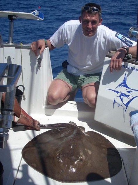 roughtail stingray Cavalier & Blue Marlin Sport Fishing Gran Canaria