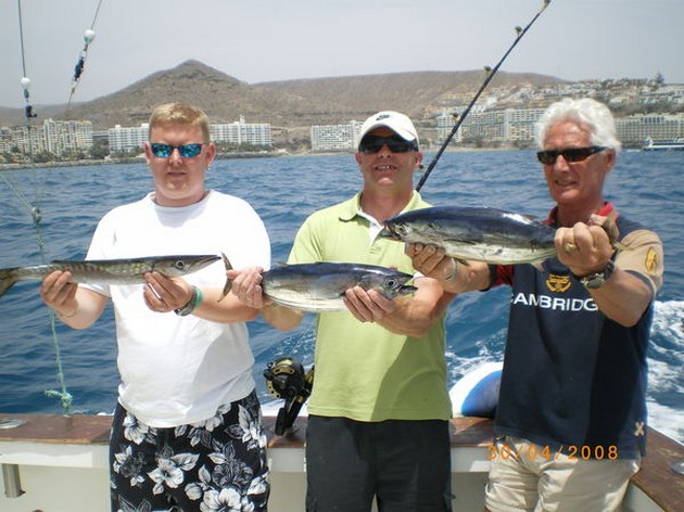 skipjack tuna - barracuda Cavalier & Blue Marlin Sport Fishing Gran Canaria