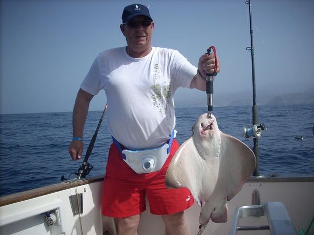 eagle ray Cavalier & Blue Marlin Sport Fishing Gran Canaria