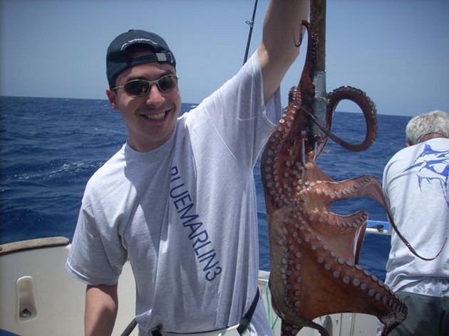 octopus Cavalier & Blue Marlin Sport Fishing Gran Canaria