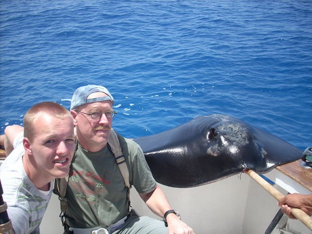 black stingray Cavalier & Blue Marlin Sport Fishing Gran Canaria