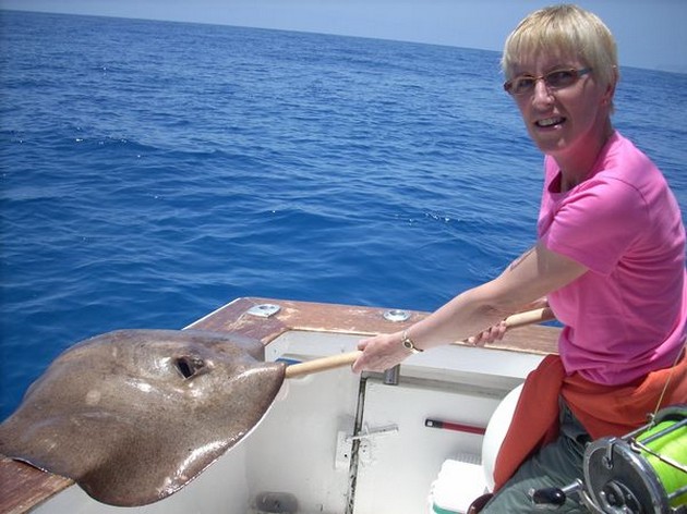 roughtail stingray Cavalier & Blue Marlin Sport Fishing Gran Canaria