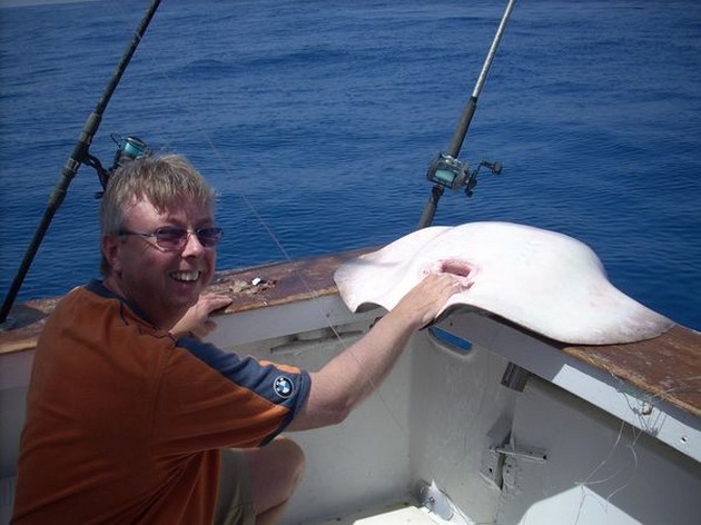 common stingray Cavalier & Blue Marlin Sport Fishing Gran Canaria