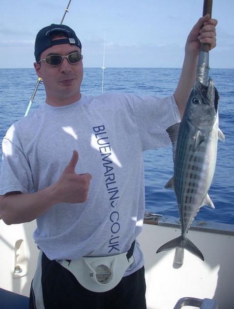 atlantic bonito Cavalier & Blue Marlin Sport Fishing Gran Canaria